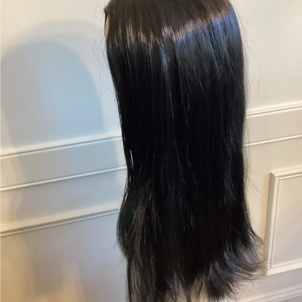 Sleek Black Synthetic Wig (~ 24 - 26 inch) NWOT